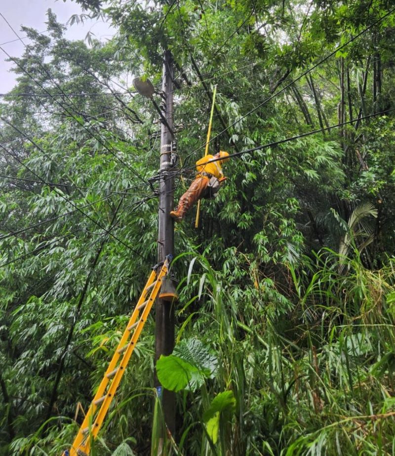 巴威強風北部零星停電 台電北南區處搶修復電逾九成 28 《圖說》巴威颱風強風吹倒路樹壓損電線造成停電,台電北南區處派員全力搶修中。〈北南區處提供〉