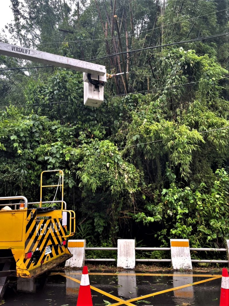 巴威強風北部零星停電 台電北南區處搶修復電逾九成 30 《圖說》台電北南區處派員全力搶修強風吹倒路樹壓損電線二。〈北南區處提供〉