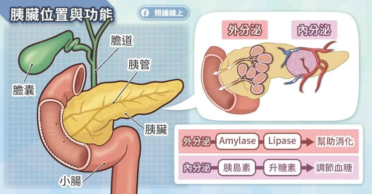 急性胰臟炎是什麼?