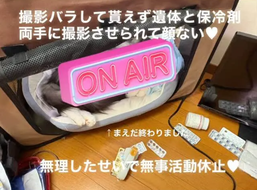 日本女優田中寧寧宣佈無限期退出AV界。(圖/翻攝田中寧寧IG)