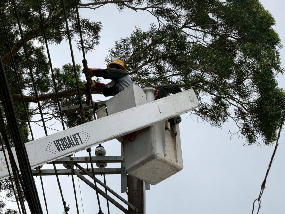 強風釀龜山1523戶停電!台電深夜冒風雨1.5小時全復電 106666 0 0