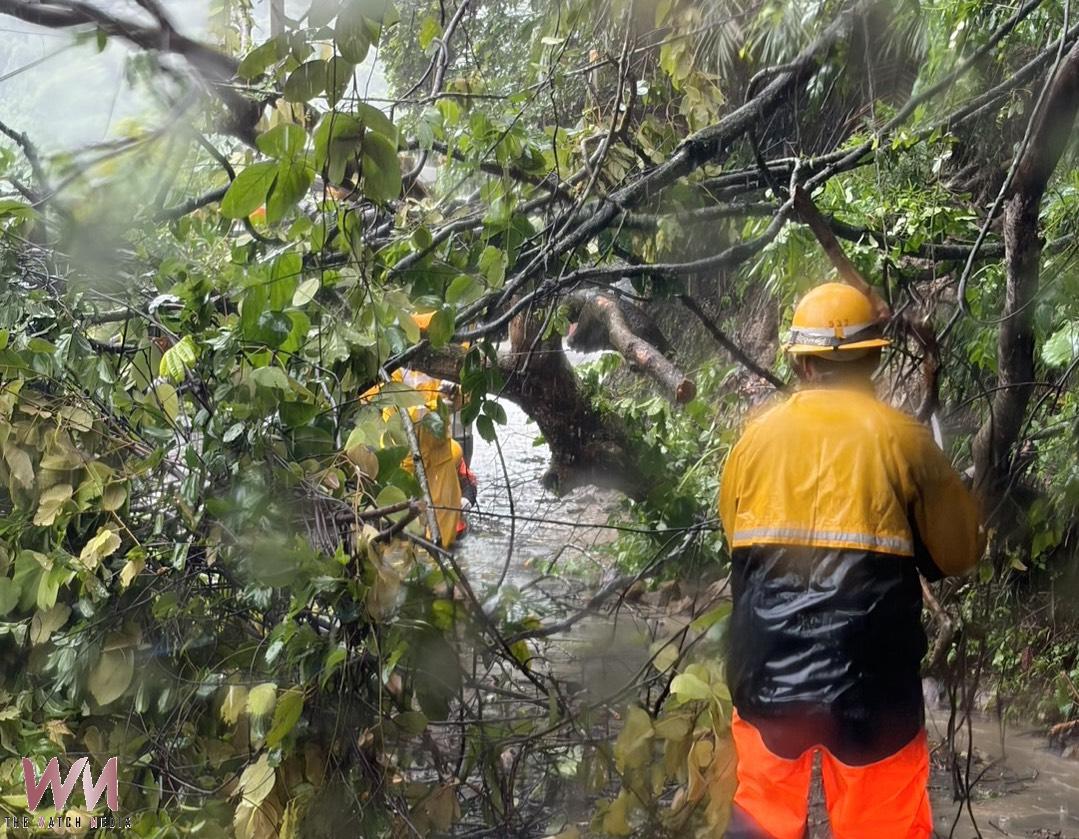 巴威颱風來襲　台中地區仍停電3,181戶 台電持續積極搶修中 - https://www.watchmedia01.com