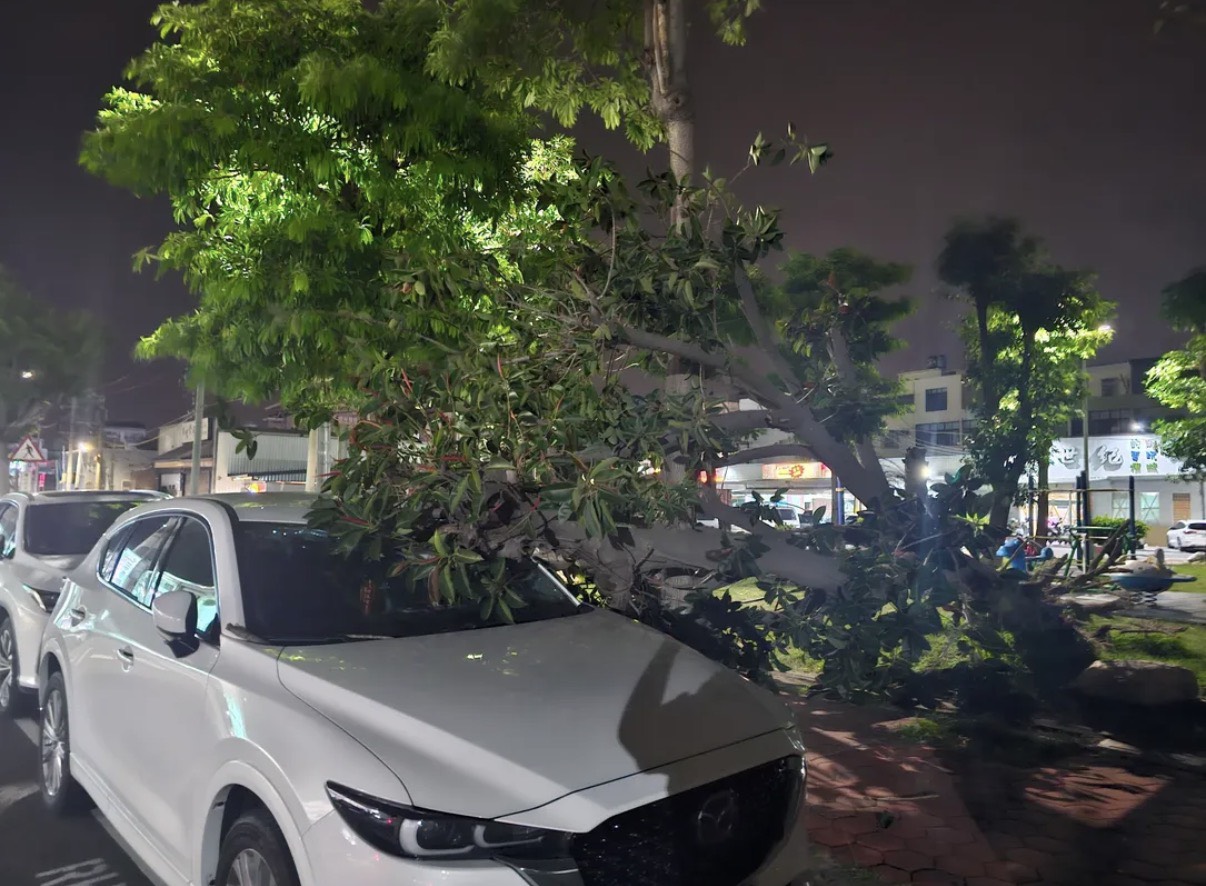 巴威風雨橫掃彰化!路樹砸車、老屋火警接連傳災情 - https://www.watchmedia01.com