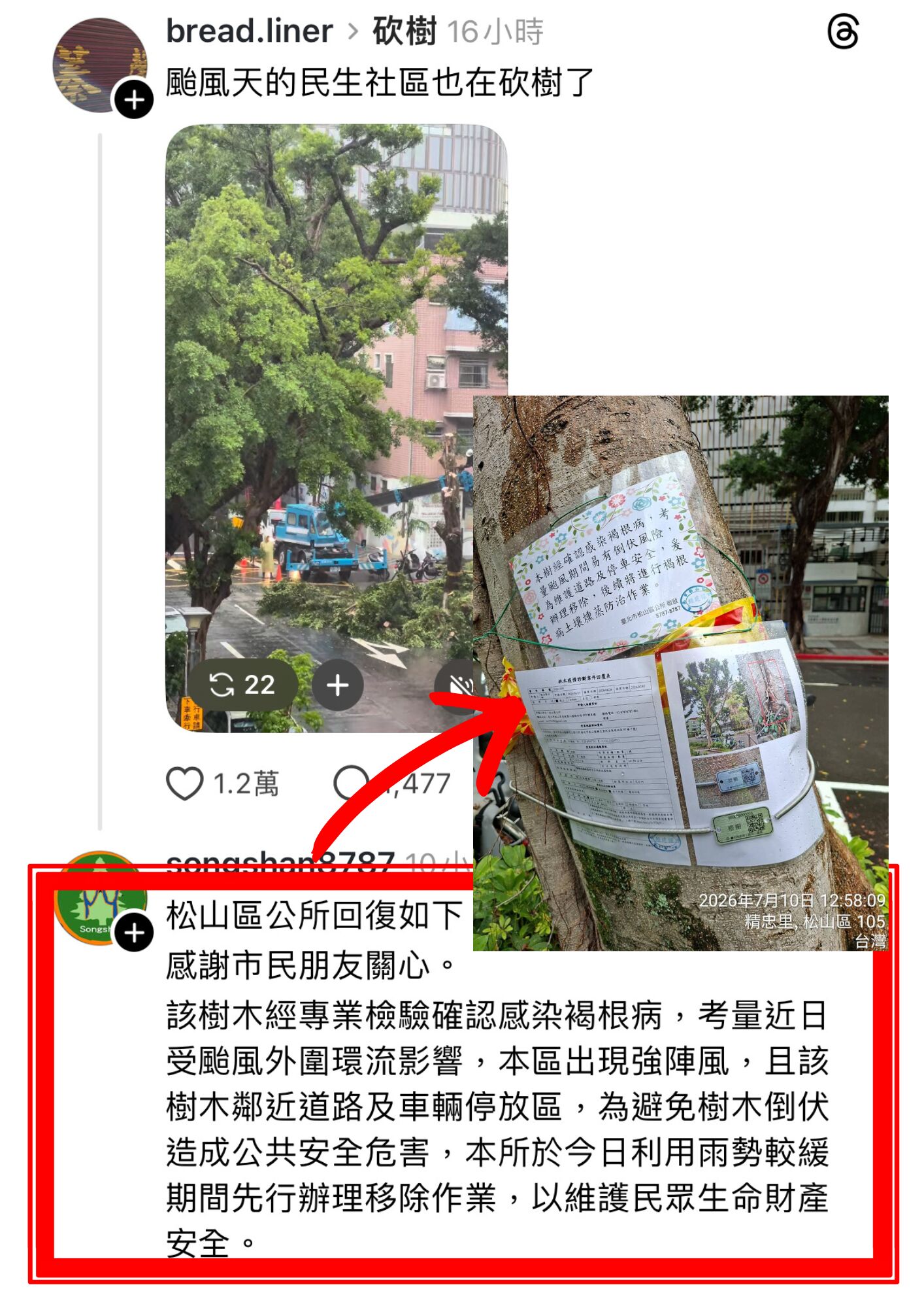 網傳砍4千棵樹迎無人機？　台北公園處秀圖表逐一打臉 87