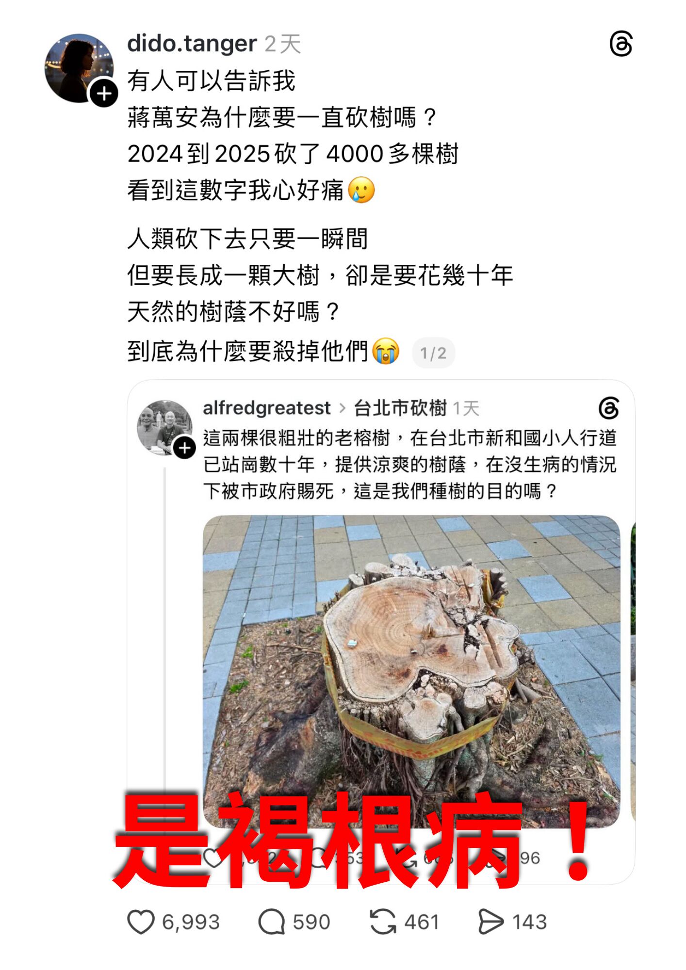 網傳砍4千棵樹迎無人機？　台北公園處秀圖表逐一打臉 89