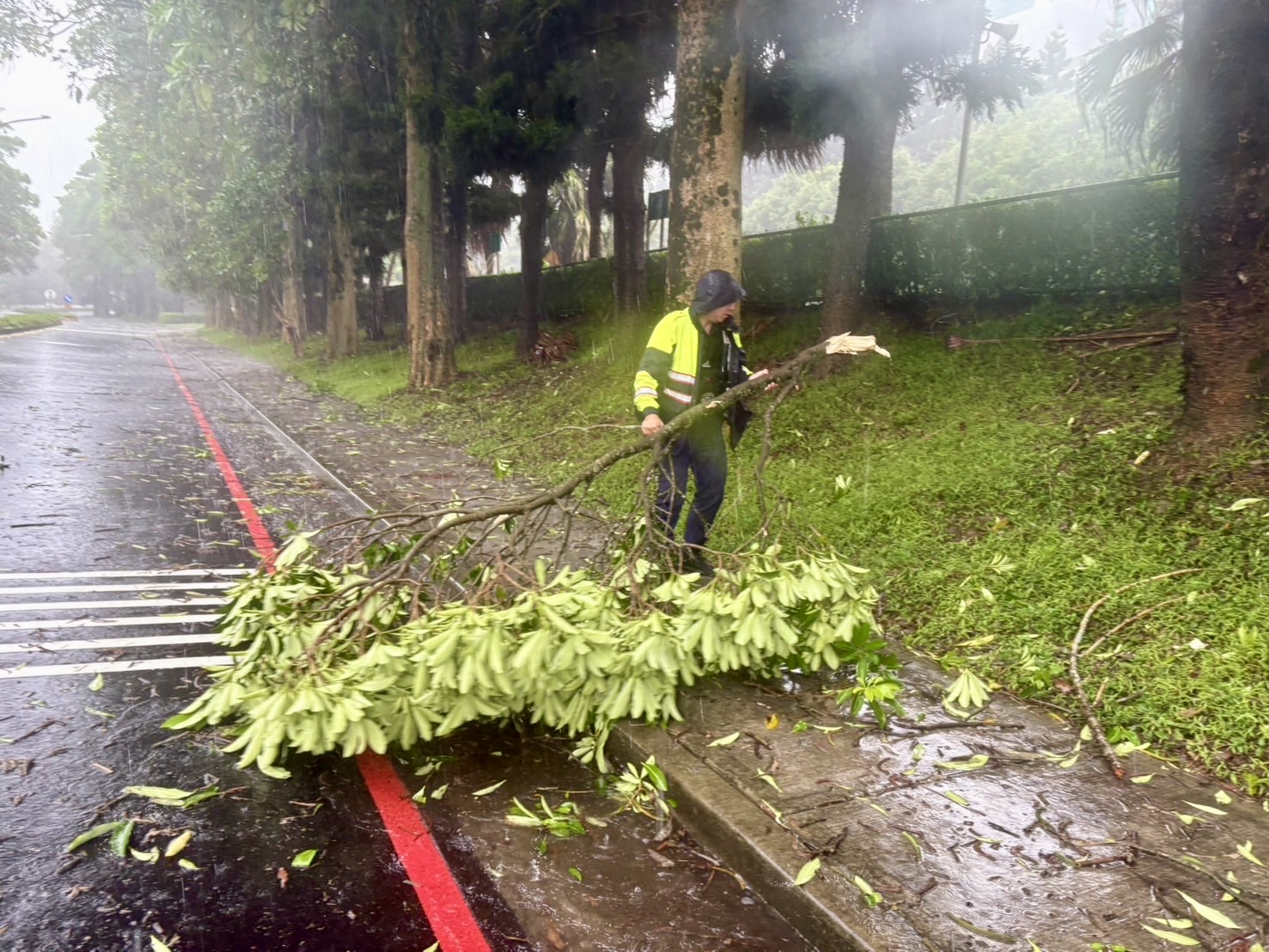 巴威過境!桃園龍潭中豐路土石崩落 警方迅速排除恢復通行 S 14778409 0