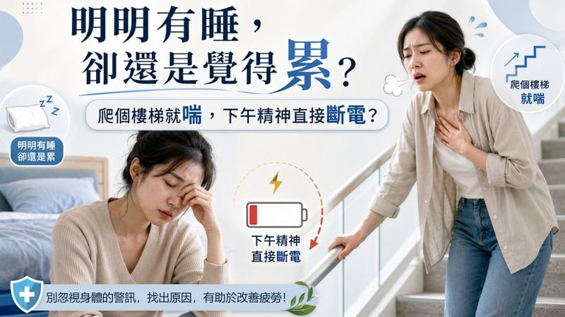 不是只有累!身體高耗能部位「續航力變差」 恐是能量代謝拉警報
