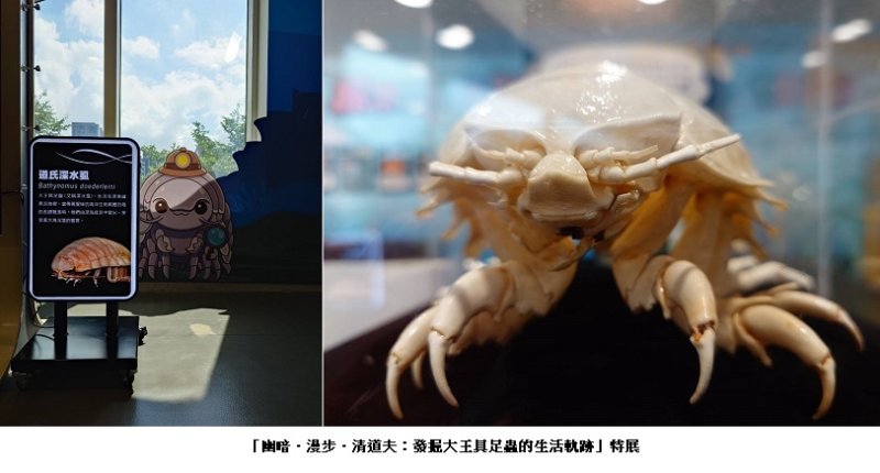 國研院 x 國資圖 科普特展開展 幽暗.漫步.清道夫:發掘大王具足蟲的生活軌跡
