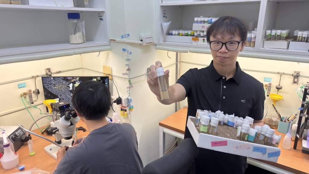 ▲中興大學分生所曾振圓助理教授用雄果蠅發現精子幹細胞競爭與老化選汰的分子機制。（圖／記者林明佑攝）