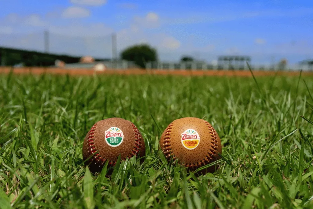 期間單筆購買滿 121 元,完成發票登錄有機會抽中 Zespri 奇異果造型棒球或全套造型球員卡