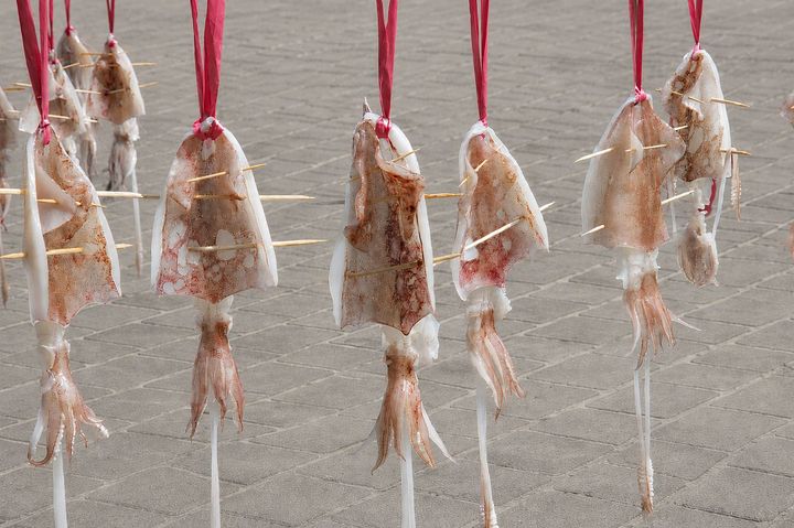 盛夏海味登場!深澳漁港小卷季開跑 產地直送鮮甜滋味