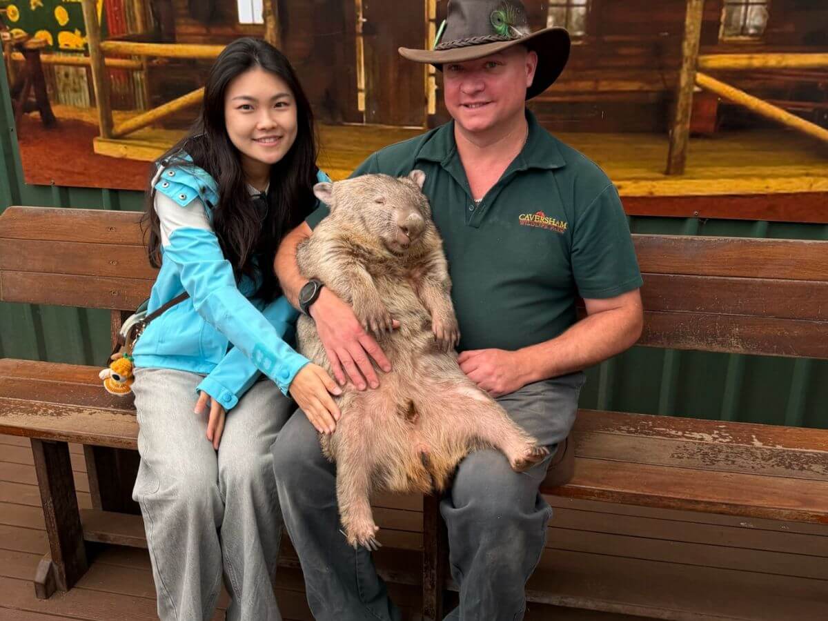 澳洲景點推薦 2026|買門票就送無尾熊合照!在地人必去高CP值動物園,餵袋鼠、摸袋熊一次完成