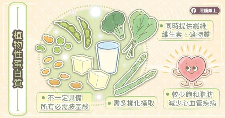 植物性蛋白質的好處