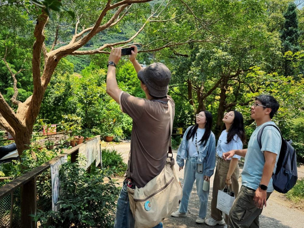 十三行博物館攜手Zemo零邁移動 打造免千元低碳綠遊7月30日啟航 - https://www.watchmedia01.com