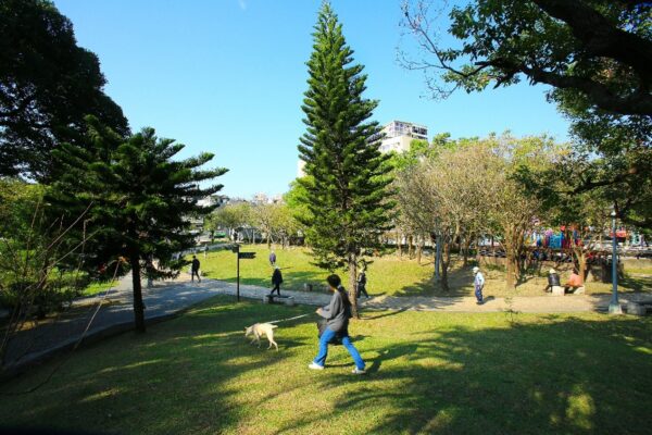 「文山青昀」周邊匯聚興隆公園、興德公園、景華公園及仙岩公園等多處綠地資源,高綠覆環境深受雙北自住客青睞。(圖/文山青昀提供)