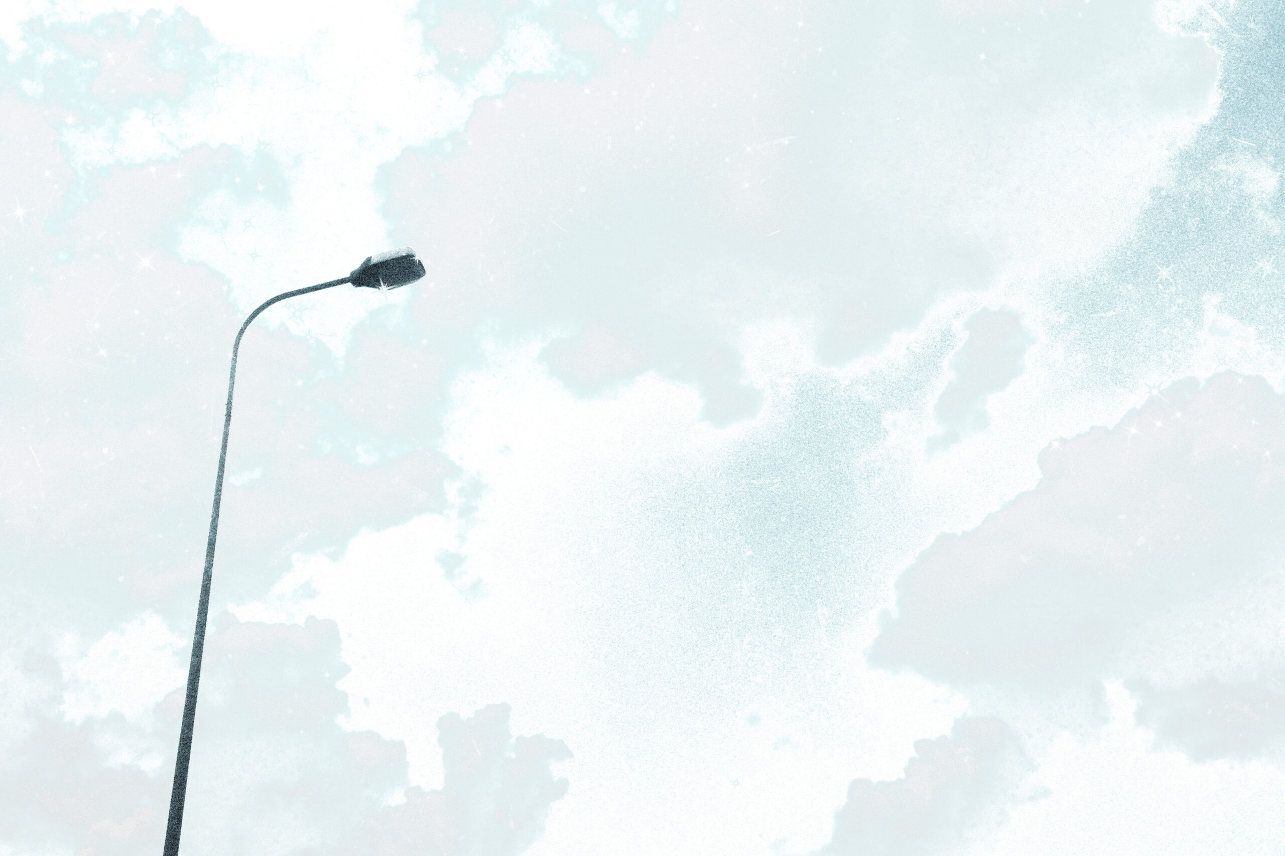 桃園年迎9千隻候鳥造訪 首推跨季活動打造全年度生態旅遊盛事 aesthetic transparent background png cloudy sky scaled