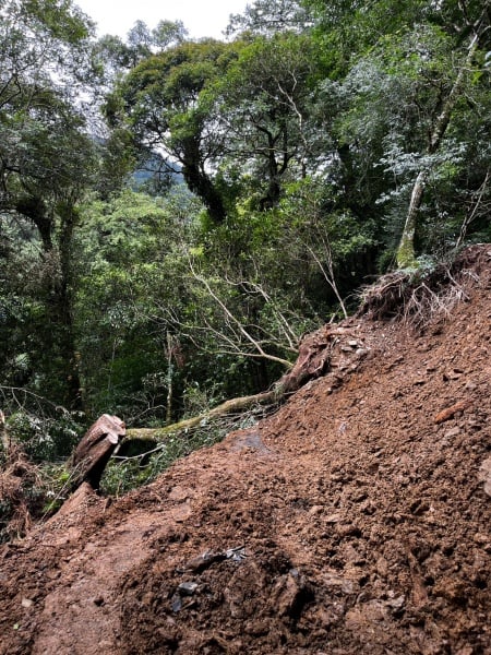 ▲(拉拉山國家森林遊樂區巨木步道邊坡土石崩塌。