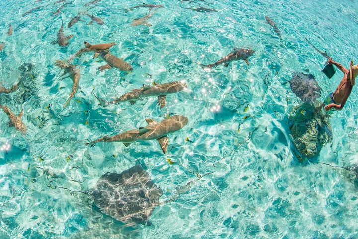徜徉高更畫筆下的湛藍 理想的大溪地夢幻跳島之旅