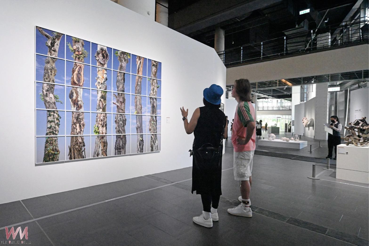 匯聚全國藝術創作能量 「115年全國美術展」國美館盛大登場 - https://www.watchmedia01.com