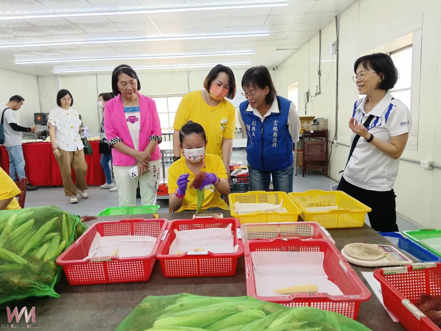 (有影片)/雲林庇護工場突破雙位數!全國首家「鈞品農產」攜手全聯開創農業就業新模式 - https://www.watchmedia01.com