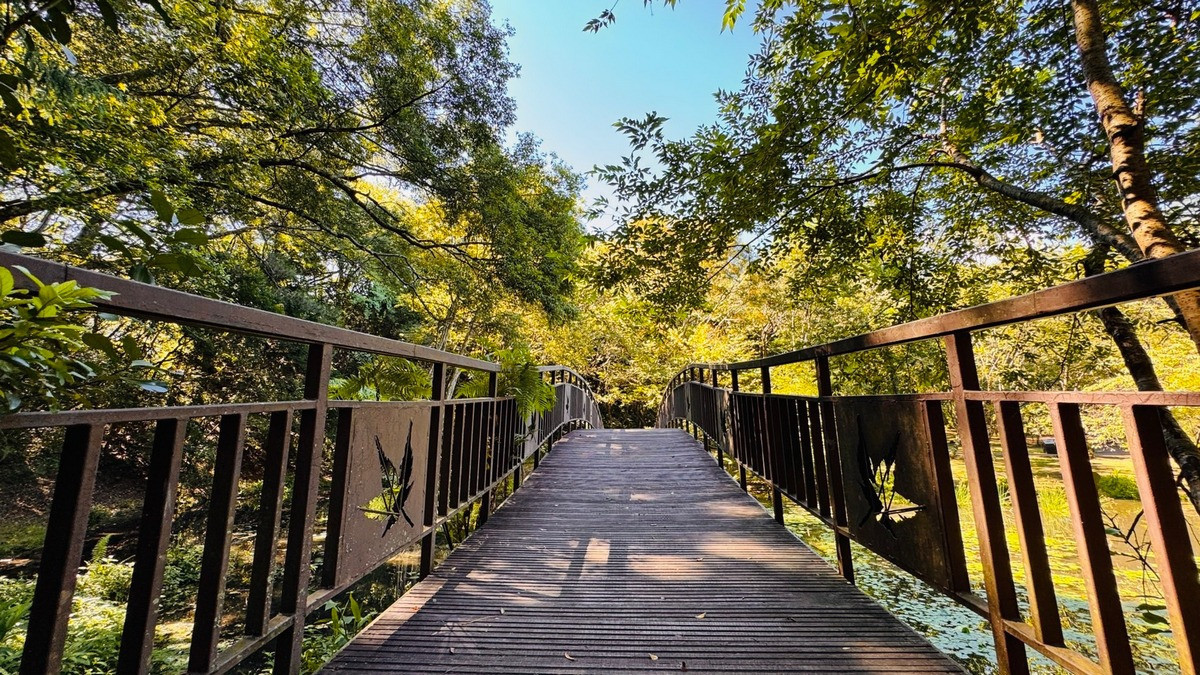 圖為奧萬大楓葉橋。(南投分署提供)