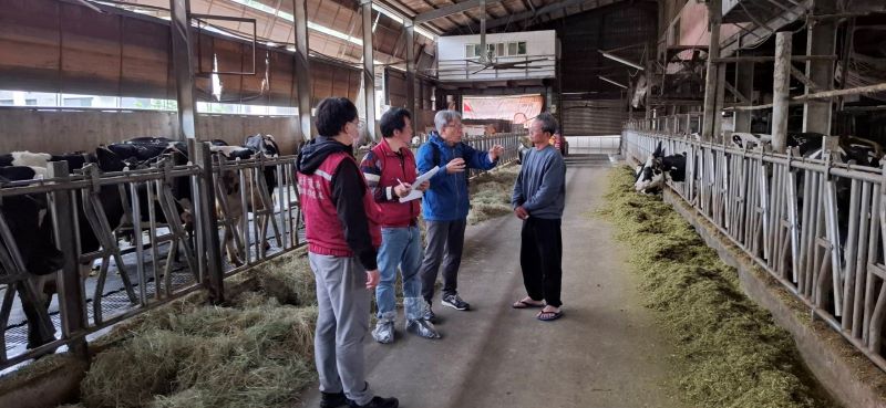 因應紐乳零關稅衝擊 新北啟動「牛力護航計畫」迎戰進口競爭 63 《圖說》專家指導牛乾乳期應注意事項。〈動保處提供〉