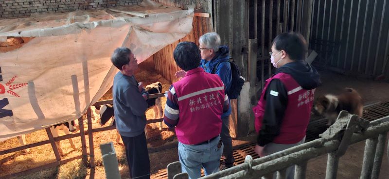 因應紐乳零關稅衝擊 新北啟動「牛力護航計畫」迎戰進口競爭 64 《圖說》專家教導防止仔牛下痢對策。〈動保處提供〉