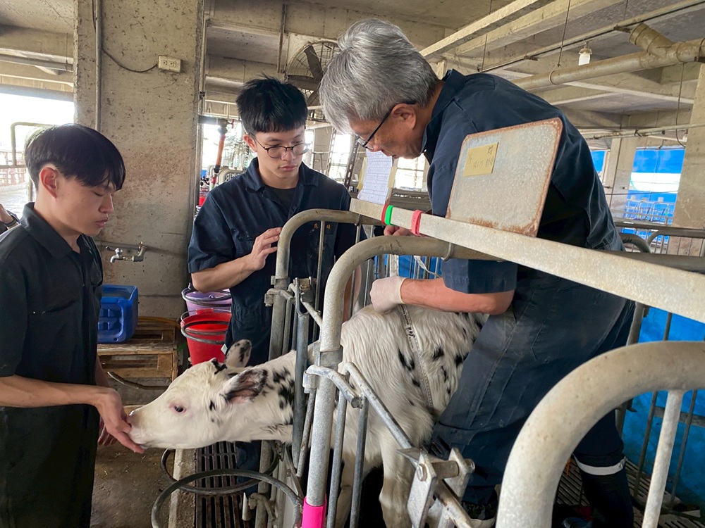 研發乳牛專屬益生菌 台大動科系攜手生合降低乳房炎提升乳量 193 cnews204260721a05