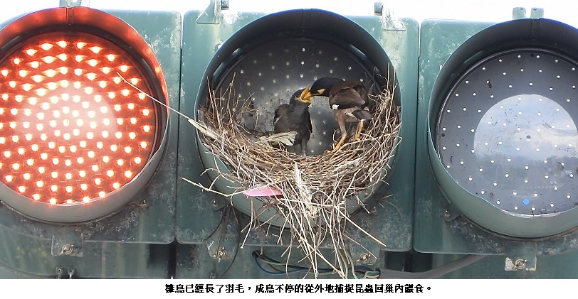 news_photo_1
