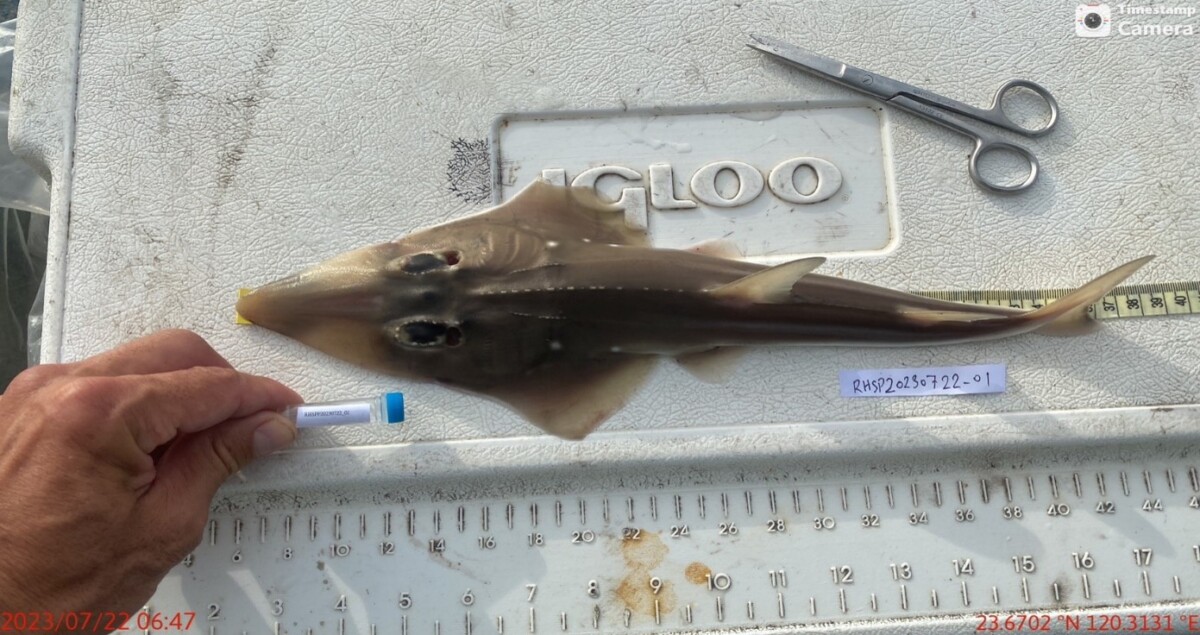 SQ07227 2沃旭勇奪生物多樣性銀獎