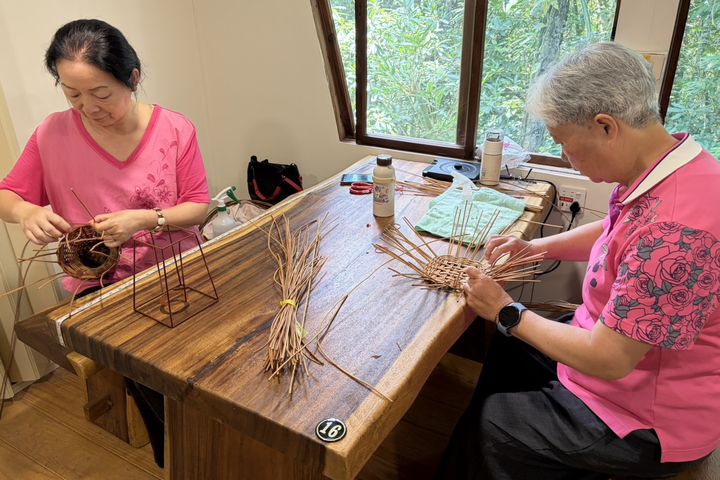 百年芒萁編織重現日月潭 體驗TRACE文化生態新旅行