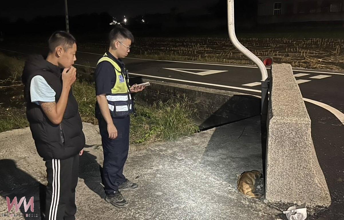 幼犬倒臥道路命懸一線 臺西暖警即刻救援守護生命安全 - https://www.watchmedia01.com