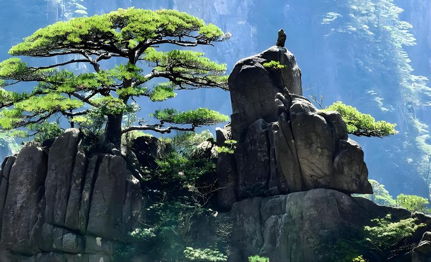 ▲大陸安徽黃山美麗景色。