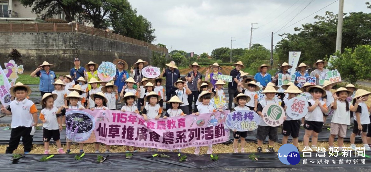 楊梅區農會舉辦「115年度食農教育－仙草種植體驗活動」。
