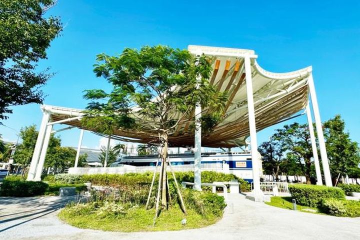 鐵道迷看過來!跟著《魚頭君帶路》探訪台南軌道之旅