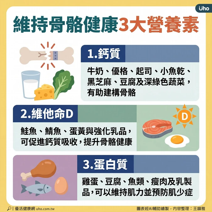 維持骨骼健康3大營養素