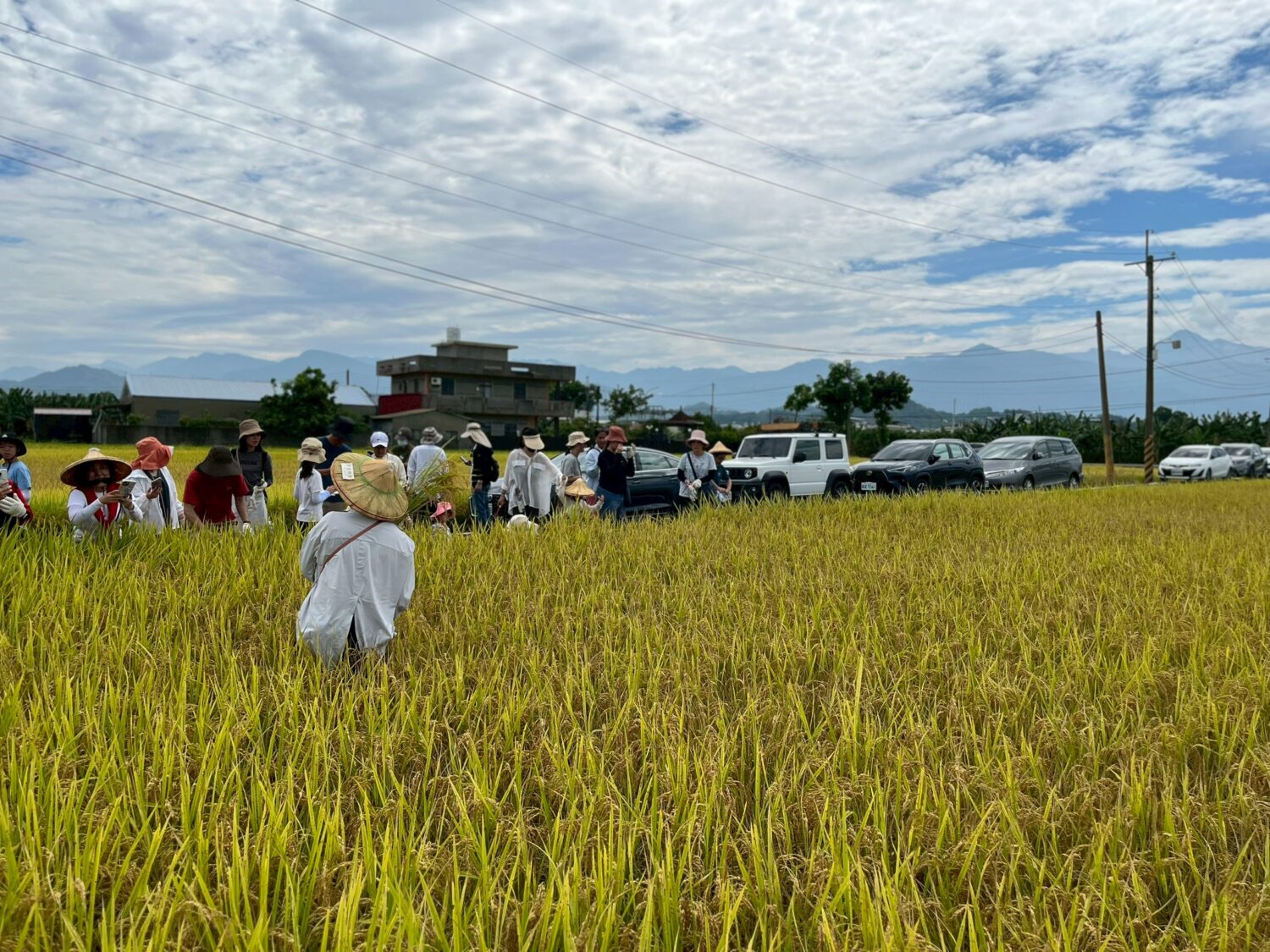 高雄客家米食節系列活動起跑! 首推美濃食農小旅行 邀親子循著米香走進客庄