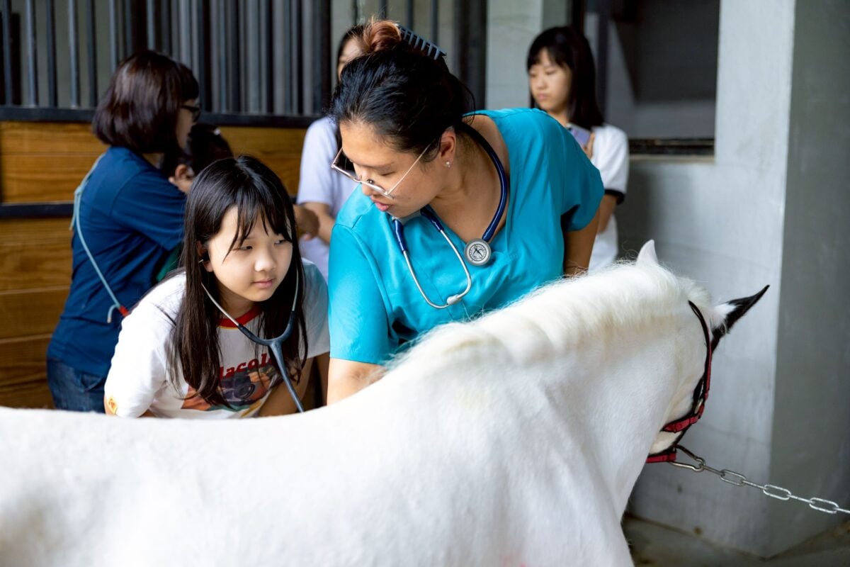 ▲高雄市動保處攜手祈癒動物醫院舉辦「一日馬病小獸醫」體驗,學童近距離接觸馬匹、學習獸醫知識,透過沉浸式互動培養生命教育與動物保護觀念。