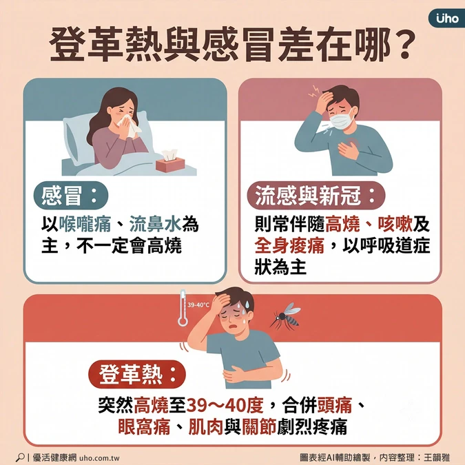 登革熱初期症狀與感冒相似