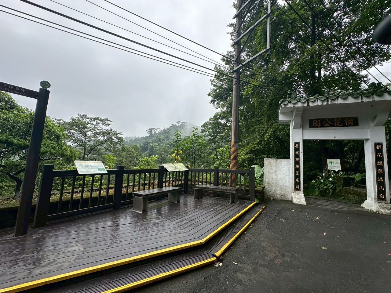 暑假不用跑山區! 新北2大森林景點打造城市避暑新選擇