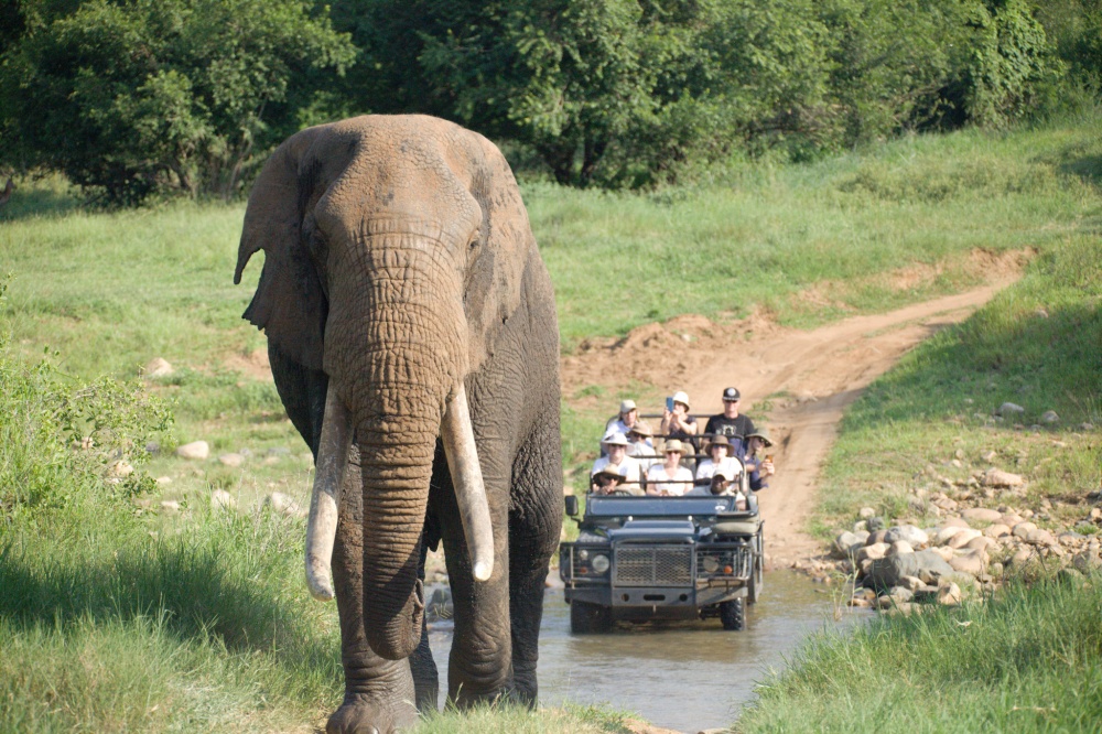 非洲SAFARI旅遊攻略帶你深入土地與人文 非洲大旅行家重新定義旅行 38 20260727007