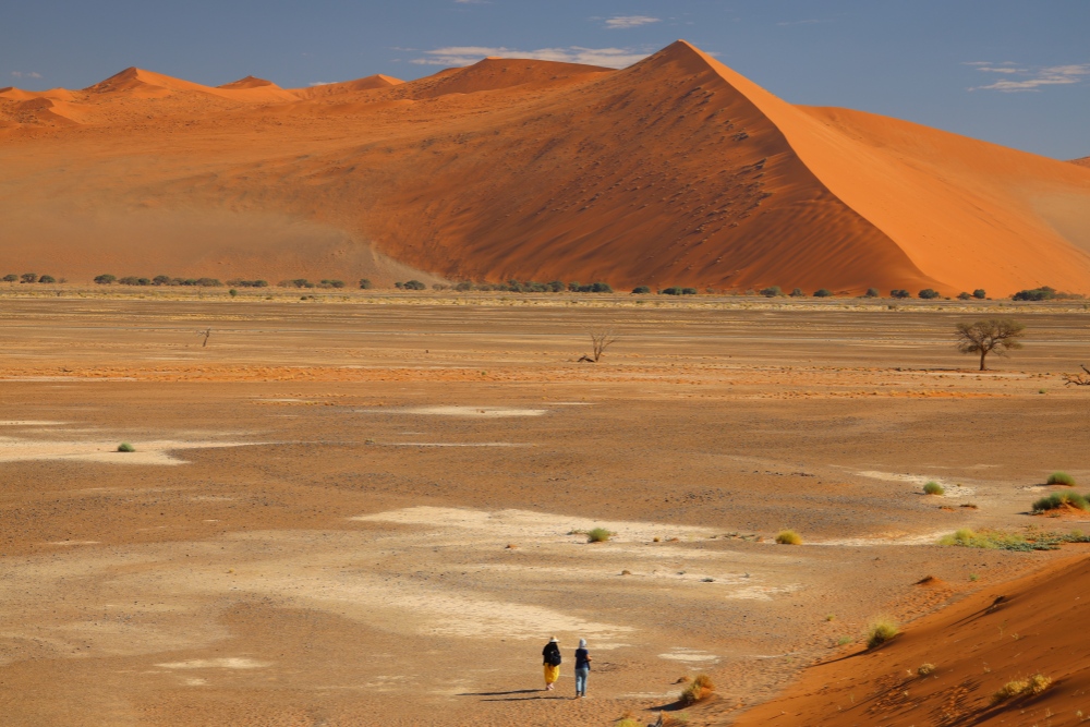 非洲SAFARI旅遊攻略帶你深入土地與人文 非洲大旅行家重新定義旅行 40 20260727009