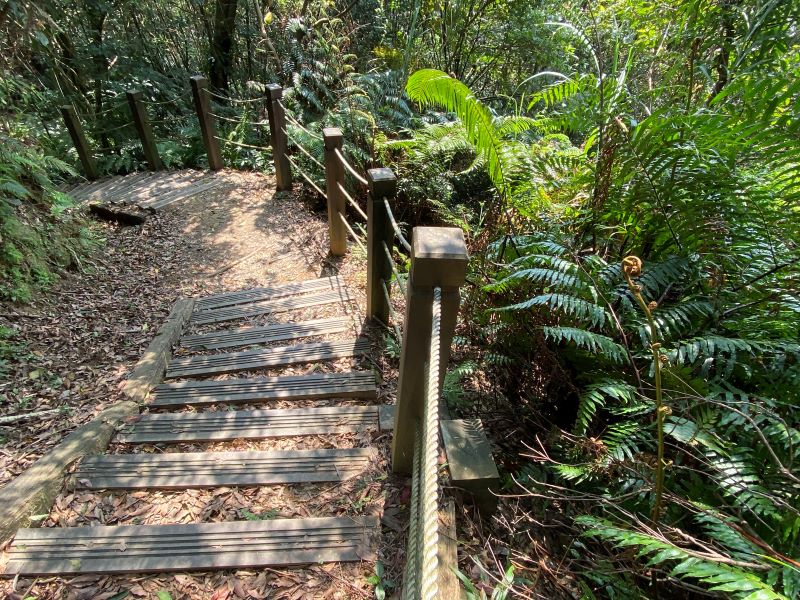 《圖說》登頂一等三角點！9月5日土庫岳古道實務教學，解鎖離線地圖定位技巧。〈觀旅局提供〉