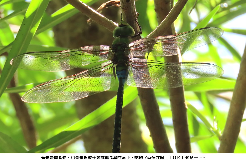 news_photo_1