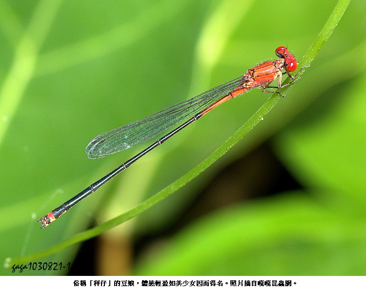 news_photo_2