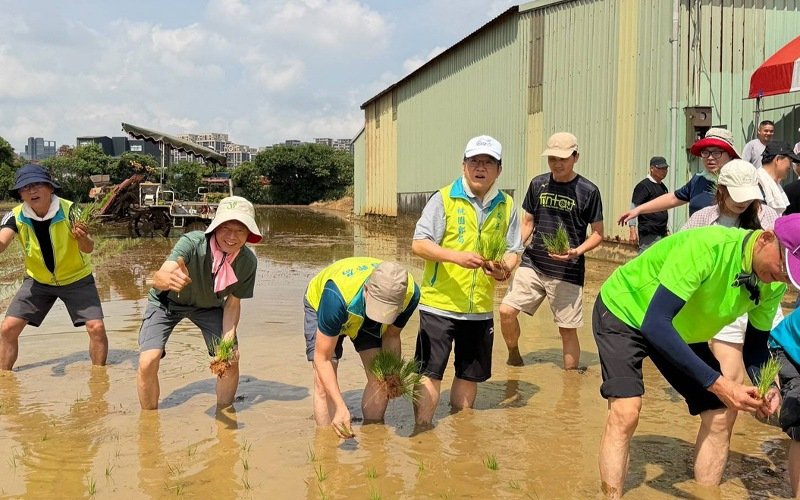 桃園郵局攜手在地青農!「郵愛田園」親子體驗插秧 認養稻田收成全捐弱勢