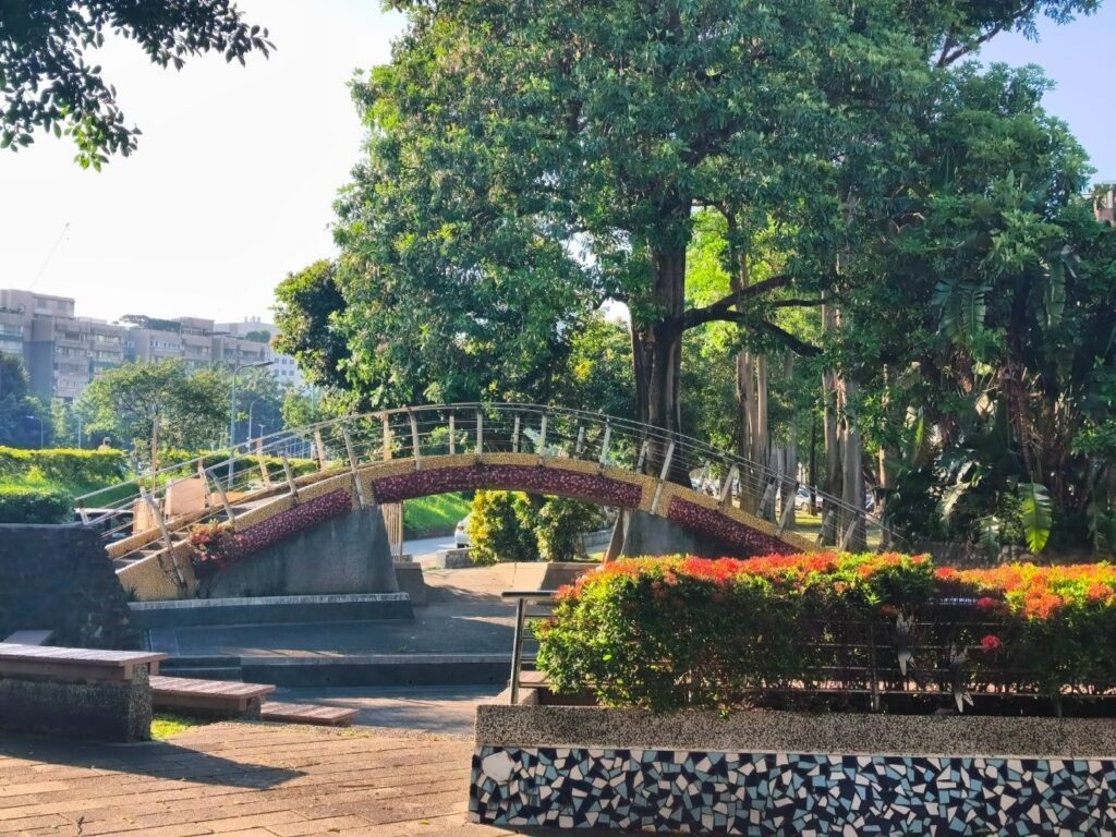 雞蛋花美得低調 蘭興一號綠地收藏天母夏日風景 55 30bc2986 0ec3 44eb a5fa 12fd9919d06f