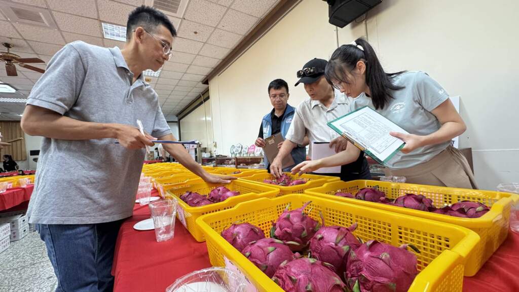 ▲彰化縣政府輔導二林鎮農會於今日在二林鎮農會三樓會議室辦理「115年度彰化縣優質紅龍果評鑑競賽」，邀集全縣優秀果農同場競技，透過專業評鑑選出優質果品。（圖／記者林明佑攝）