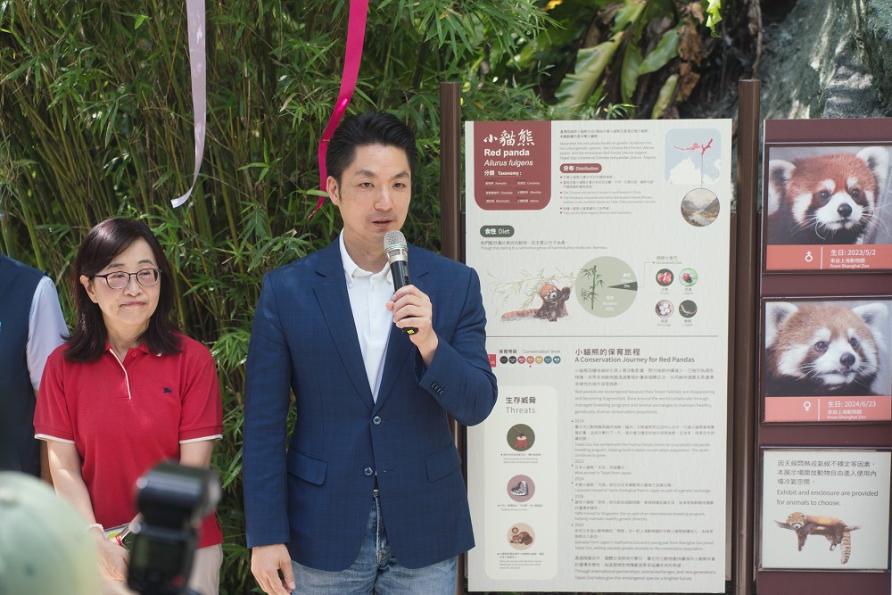 雙城論壇合作成果!小貓熊「甜甜」、「樂樂」首亮相 蔣萬安邀大小朋友遊動物園 218 雙城論壇合作成果!小貓熊「甜甜」、「樂樂」首亮相 蔣萬安邀大小朋友遊動物園 217