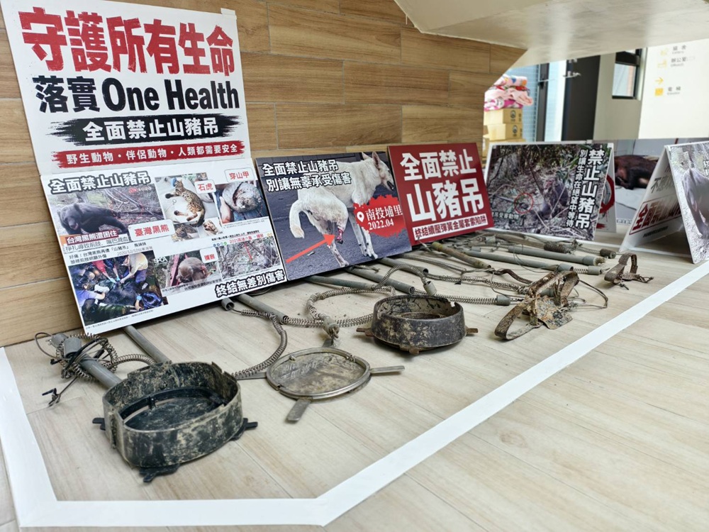 58件陷阱退出山林 新北瑞芳動物之家邀認養重生犬隻 237 cnews204250729a06